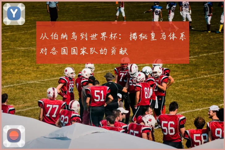 从伯纳乌到世界杯：揭秘皇马体系对各国国家队的贡献