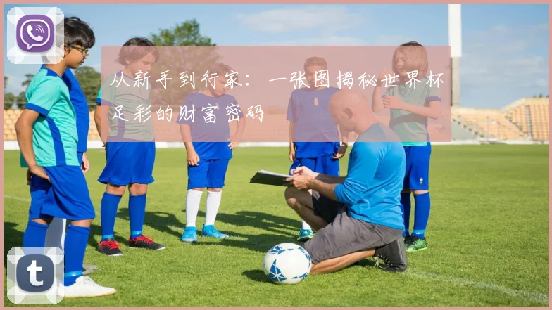从新手到行家：一张图揭秘世界杯足彩的财富密码